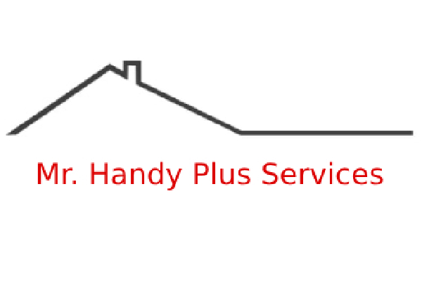 Mr. Handy Plus Services